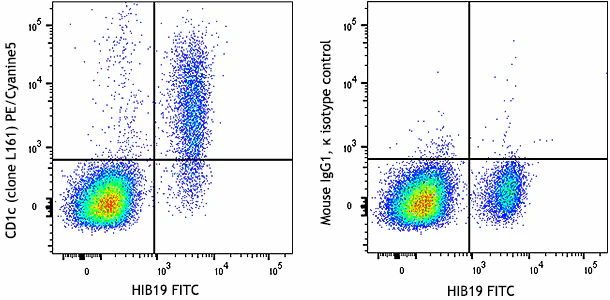 PE/Cyanine5 anti-human CD1c