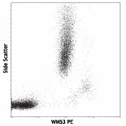 PE/Cyanine5 anti-human CD33