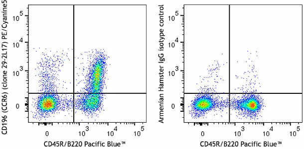 PE/Cyanine5 anti-mouse CD196 (CCR6)
