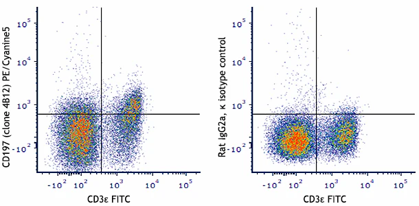 PE/Cyanine5 anti-mouse CD197 (CCR7)