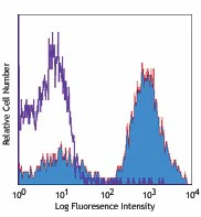 PE/Cyanine5 anti-mouse CD24