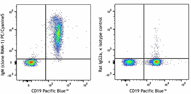PE/Cyanine5 anti-mouse IgM
