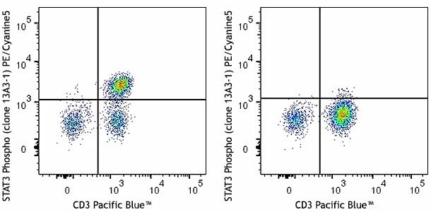 PE/Cyanine5 anti-STAT3 Phospho (Tyr705)
