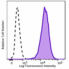 PE/Cyanine7 anti-β Catenin 1