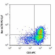 PE/Cyanine7 anti-human CD103 (Integrin αE)