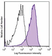 PE/Cyanine7 anti-human CD107a (LAMP-1)
