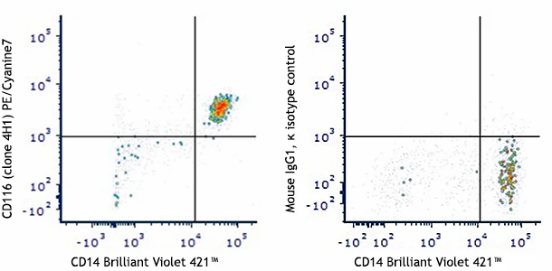 PE/Cyanine7 anti-human CD116