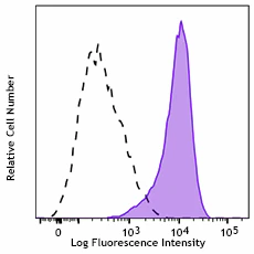 PE/Cyanine7 anti-human CD117 (c-kit)
