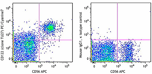 PE/Cyanine7 anti-human CD122 (IL-2Rβ)