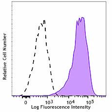PE/Cyanine7 anti-human CD143 (Angiotensin-converting enzyme)