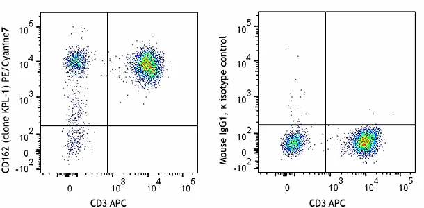 PE/Cyanine7 anti-human CD162