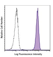 PE/Cyanine7 anti-human CD181 (CXCR1)
