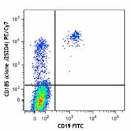 PE/Cyanine7 anti-human CD185 (CXCR5)