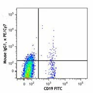 PE/Cyanine7 anti-human CD185 (CXCR5) - Image 2