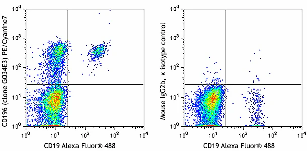 PE/Cyanine7 anti-human CD196 (CCR6)