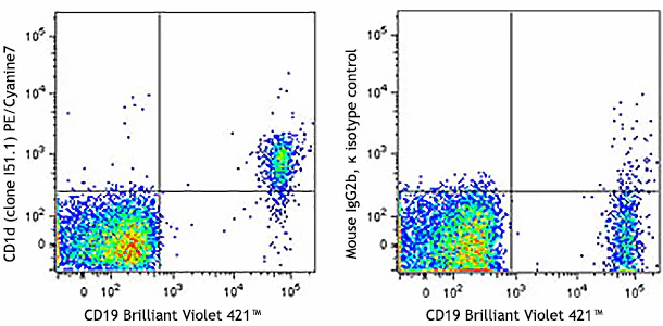 PE/Cyanine7 anti-human CD1d