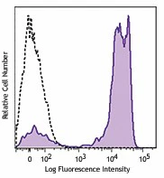 PE/Cyanine7 anti-human CD2
