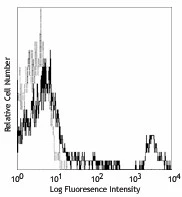 PE/Cyanine7 anti-human CD20