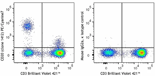 PE/Cyanine7 anti-human CD20 (cytoplasmic)