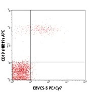 PE/Cyanine7 anti-human CD23