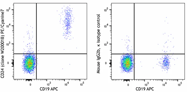 PE/Cyanine7 anti-human CD24