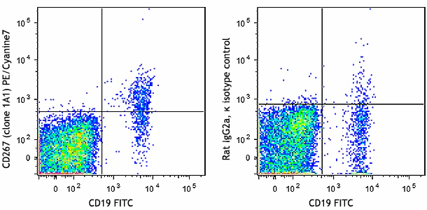 PE/Cyanine7 anti-human CD267 (TACI)