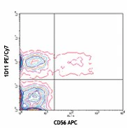 PE/Cyanine7 anti-human CD314 (NKG2D)