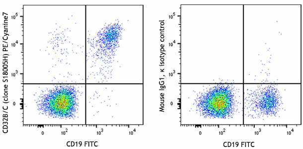 PE/Cyanine7 anti-human CD32B/C