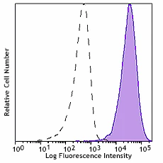 PE/Cyanine7 anti-human CD365 (Tim-1)