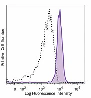 PE/Cyanine7 anti-human CD371 (CLEC12A)