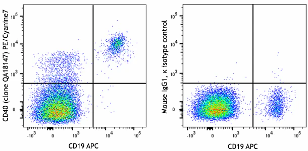 PE/Cyanine7 anti-human CD40 Recombinant