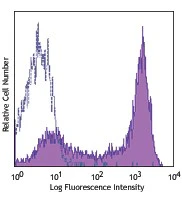 PE/Cyanine7 anti-human CD45RA
