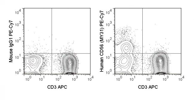 PE-Cyanine7 Anti-Human CD56 (NCAM) (MY31)
