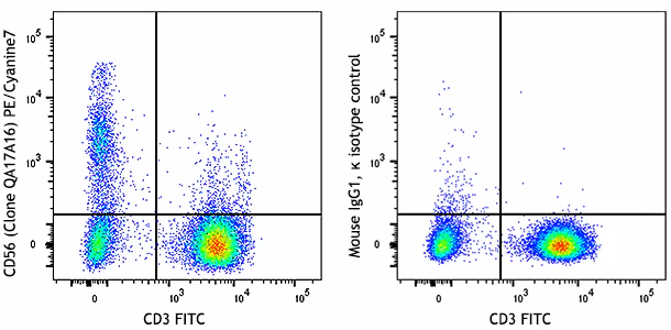 PE/Cyanine7 anti-human CD56 (NCAM) Recombinant