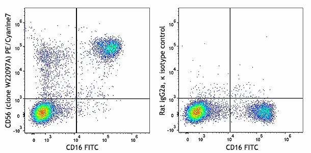 PE/Cyanine7 anti-human CD56 (NCAM)