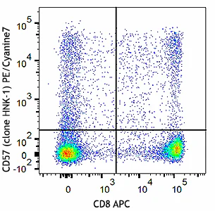 PE/Cyanine7 anti-human CD57