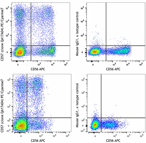 PE/Cyanine7 anti-human CD57 Recombinant