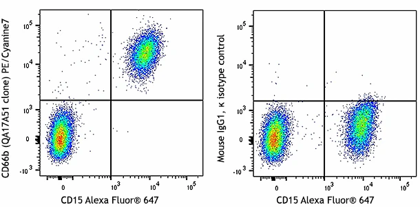 PE/Cyanine7 anti-human CD66b Recombinant
