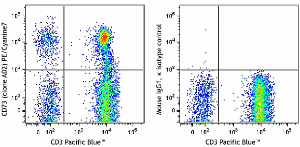 PE/Cyanine7 anti-human CD73 (Ecto-5'-nucleotidase)