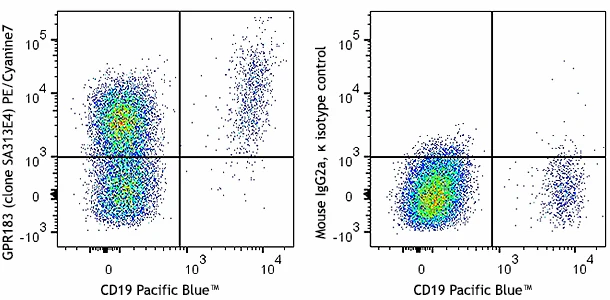 PE/Cyanine7 anti-human GPR183 (EBI2)