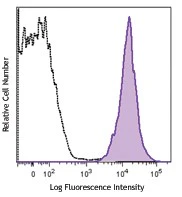 PE/Cyanine7 anti-human HLA-A2