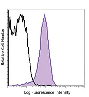 PE/Cyanine7 anti-human HLA-E