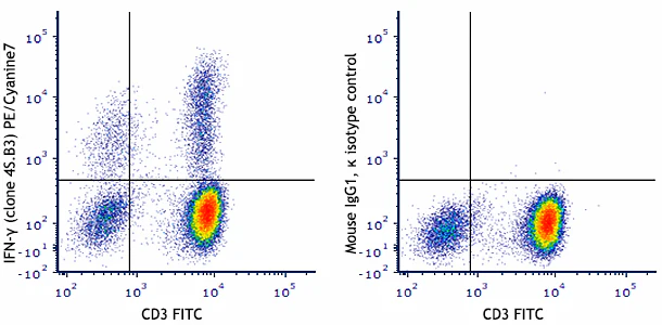 PE/Cyanine7 anti-human IFN-γ