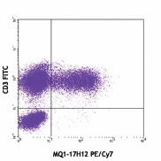 PE/Cyanine7 anti-human IL-2 - Image 2
