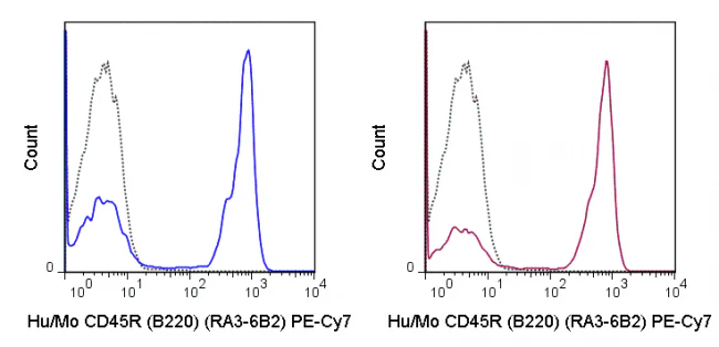 PE-Cyanine7 Anti-Human/Mouse CD45R (B220) (RA3-6B2) - Image 2