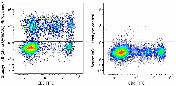 PE/Cyanine7 anti-human/mouse Granzyme B Recombinant
