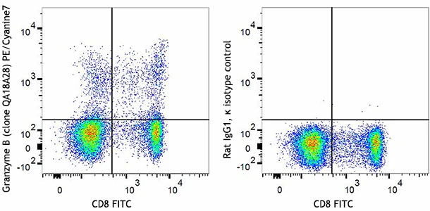 PE/Cyanine7 anti-human/mouse Granzyme B Recombinant