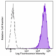PE/Cyanine7 anti-human MRGX2