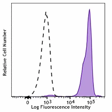 PE/Cyanine7 anti-human Siglec-9 - Image 2
