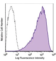 PE/Cyanine7 anti-human SSEA-4